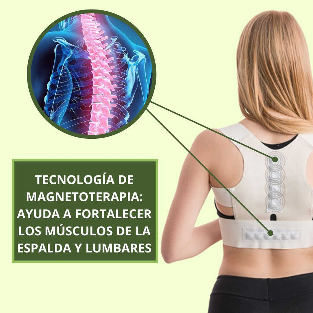 CORRECTOR DE ESPALDA 2 EN 1 CON MAGNETOTERAPIA - BACKPOSTURE™